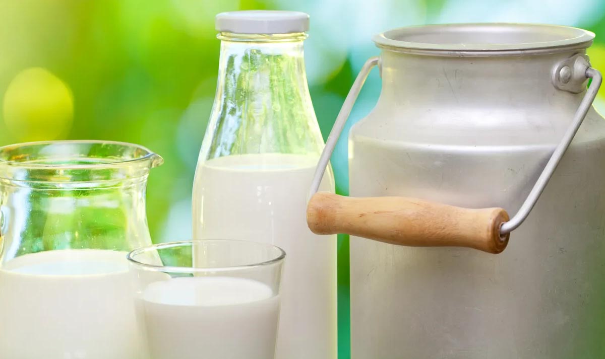 Liters of Milk Produced Worldwide